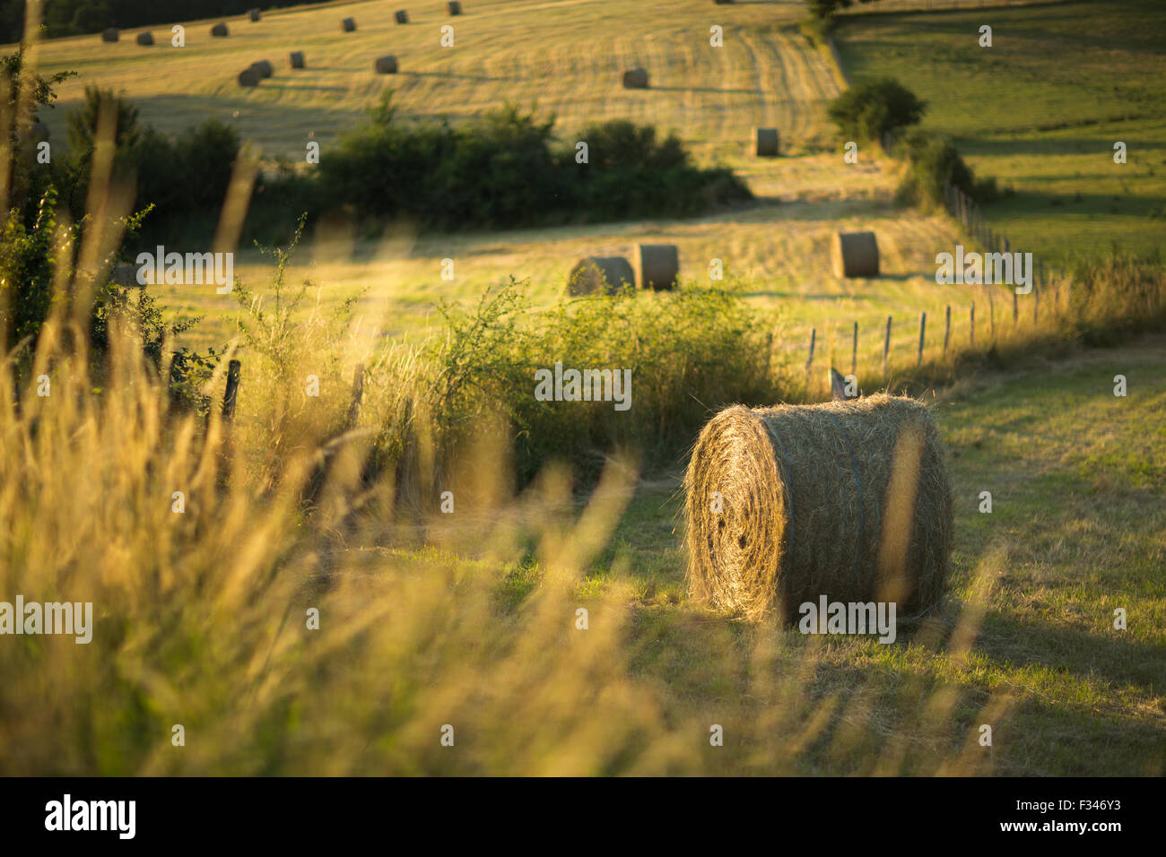 hay bales in the fields near Beaumont du Périgord, Pays de Bergerac, Dordogne, Aquitaine, France Stock Photo