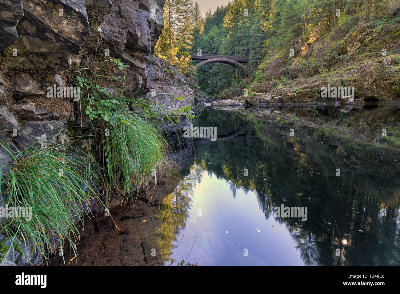 Arch Bridge Over East Fork of Lewis River at Moulton Falls Park in Washington State Stock Photo