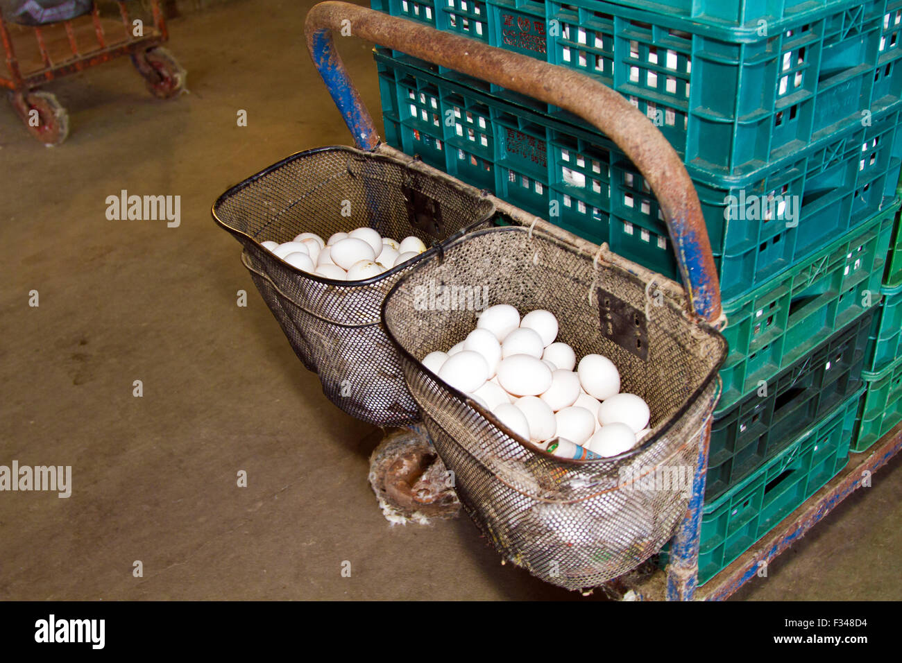 many eggs in basket Stock Photo Alamy