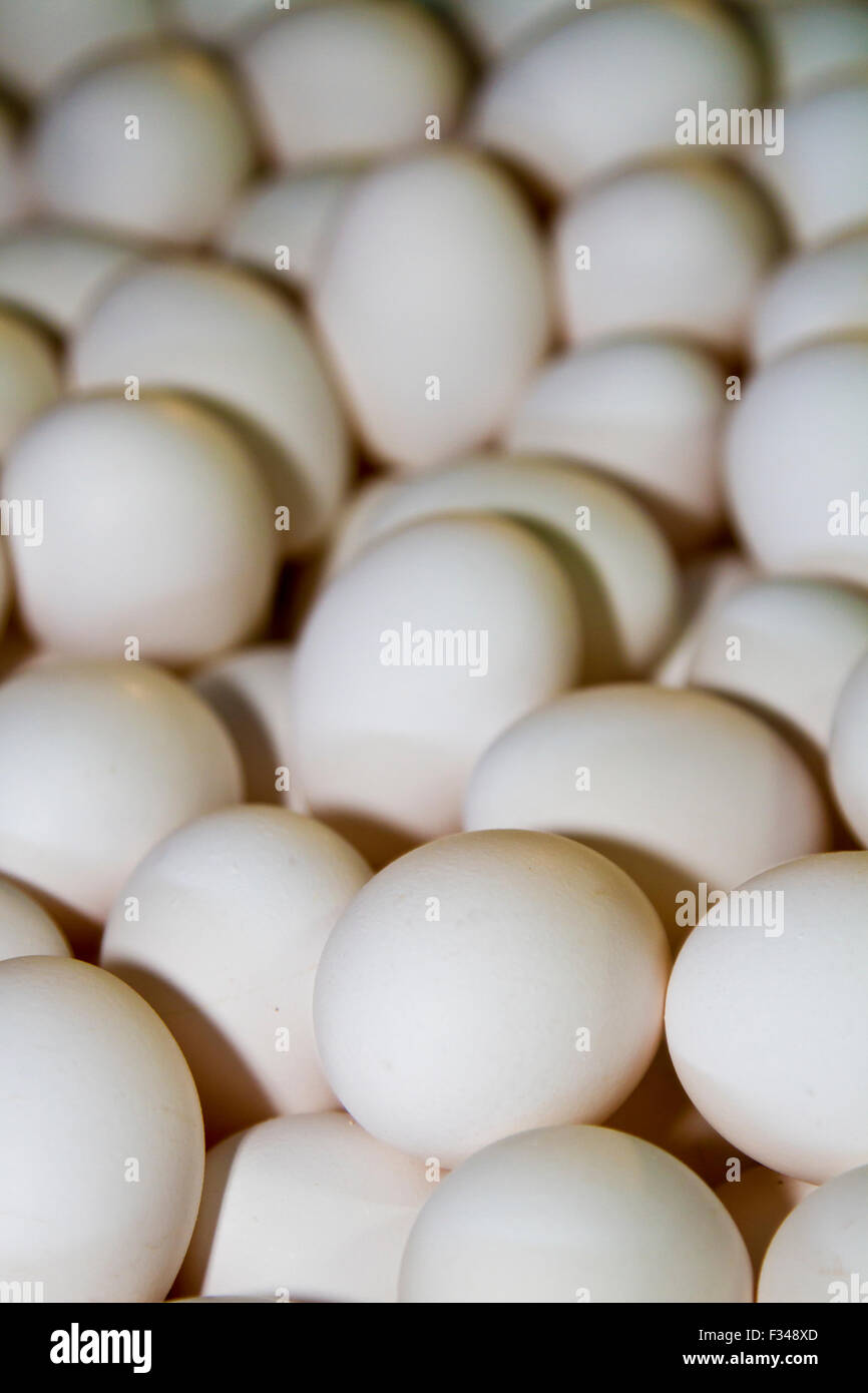 many eggs in basket Stock Photo Alamy