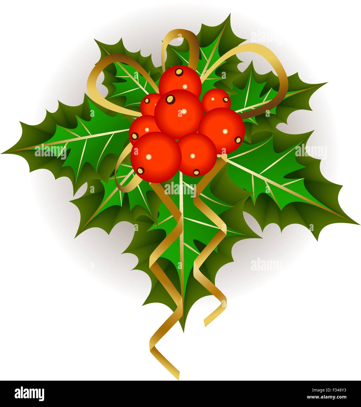 Christmas mistletoe Stock Vector