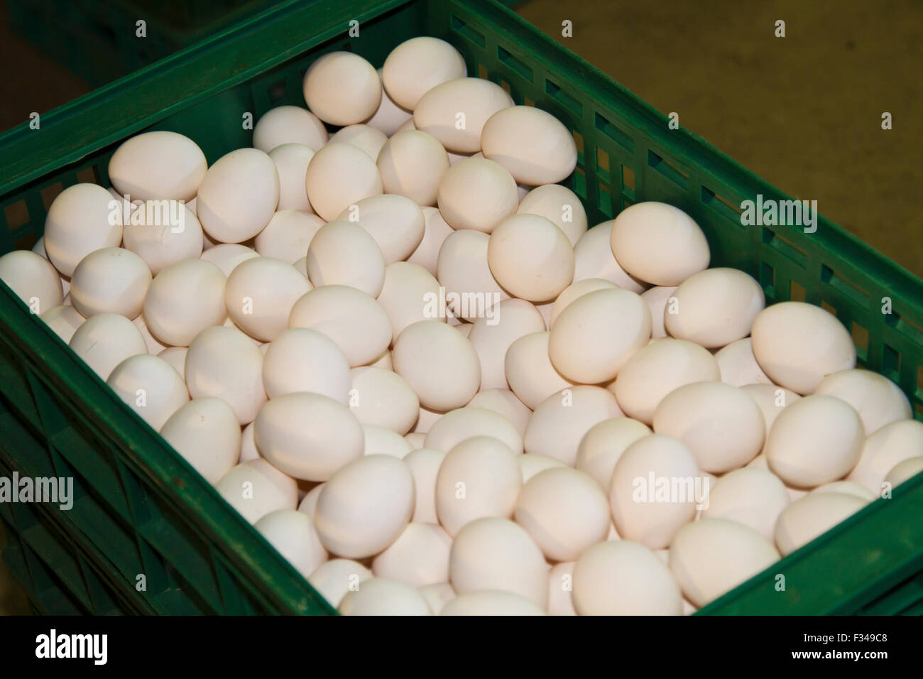 many eggs in basket Stock Photo