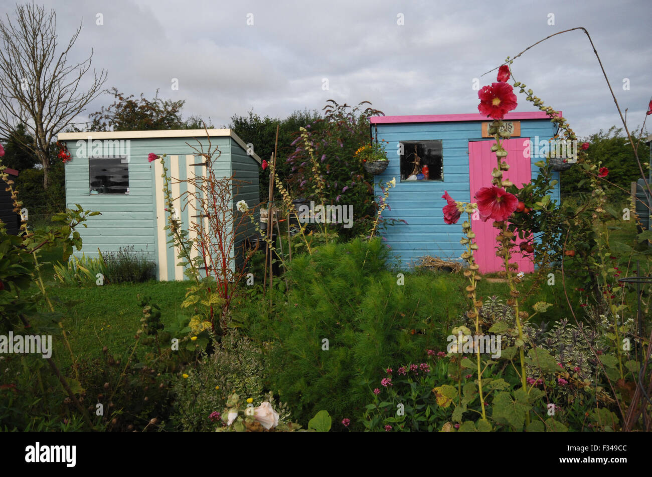 Painted allotment shed hi-res stock photography and images - Alamy