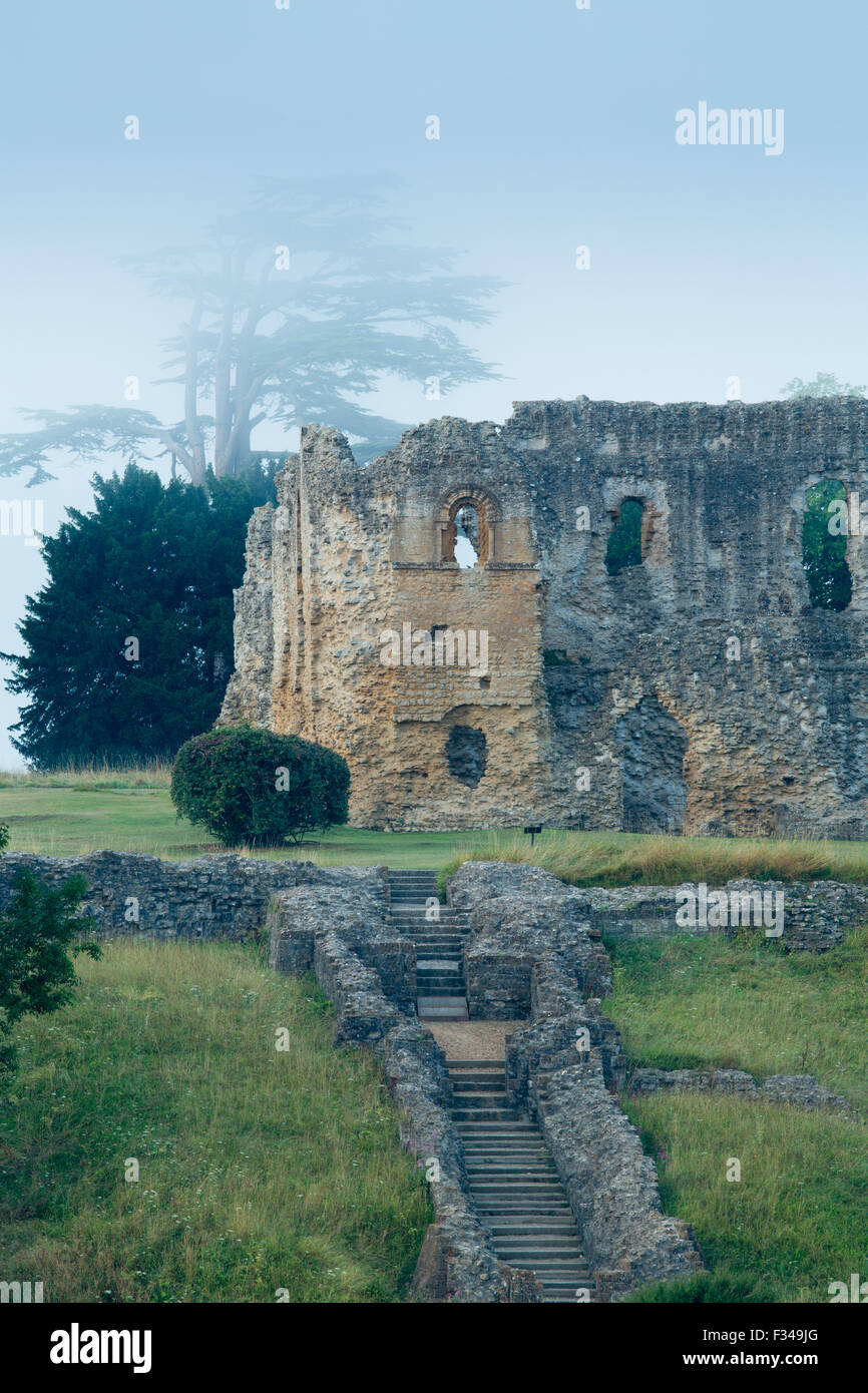 Old Sherborne Castle in the mist at dawn, Dorset, England Stock Photo