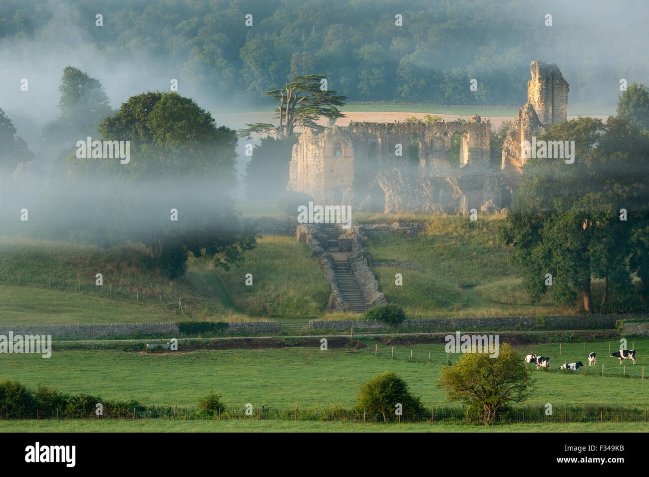 Old Sherborne Castle, Sherborne, Dorset, England, UK Stock Photo