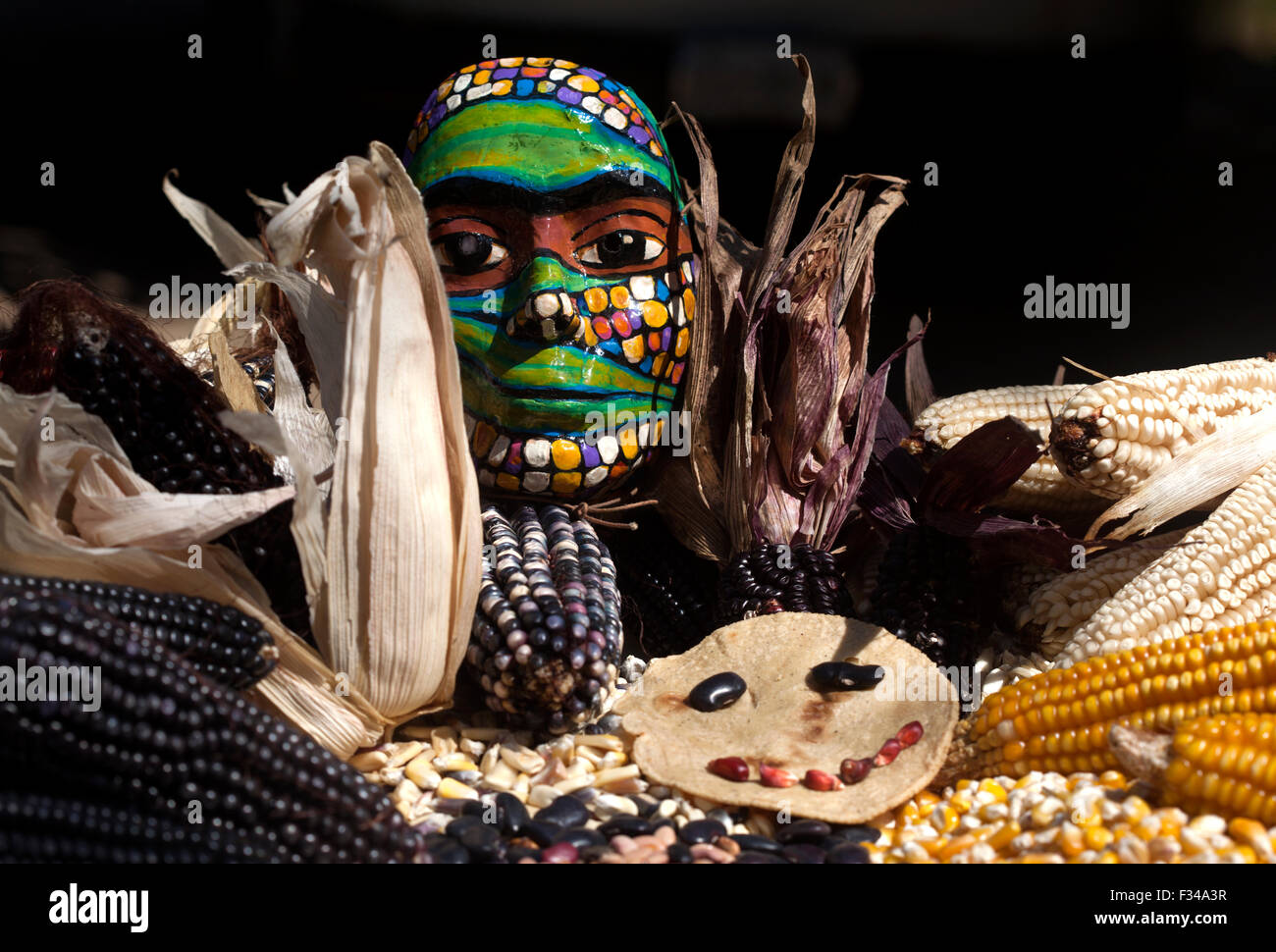A colored mask decorates a table full of corn cobs in 'Tepetlixpa Seed Bank', created by Tomas Villanueva Buendia 'Tomaicito' to protect and rescue the original varieties of Mexican corn Stock Photo