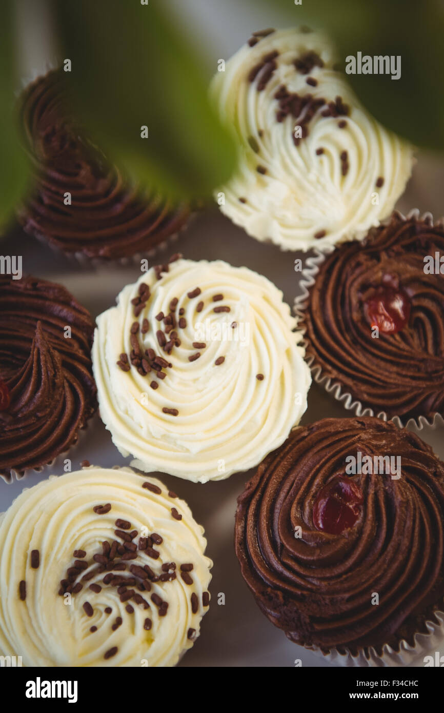 Chocolate and white chocolate cupcakes Stock Photo