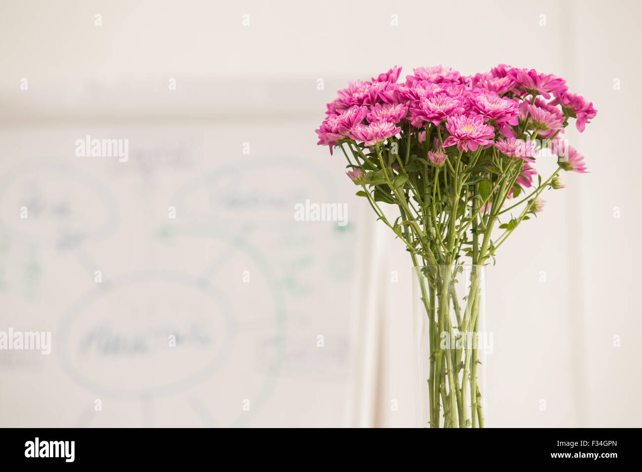 Fresh flowers in a meeting room Stock Photo Alamy