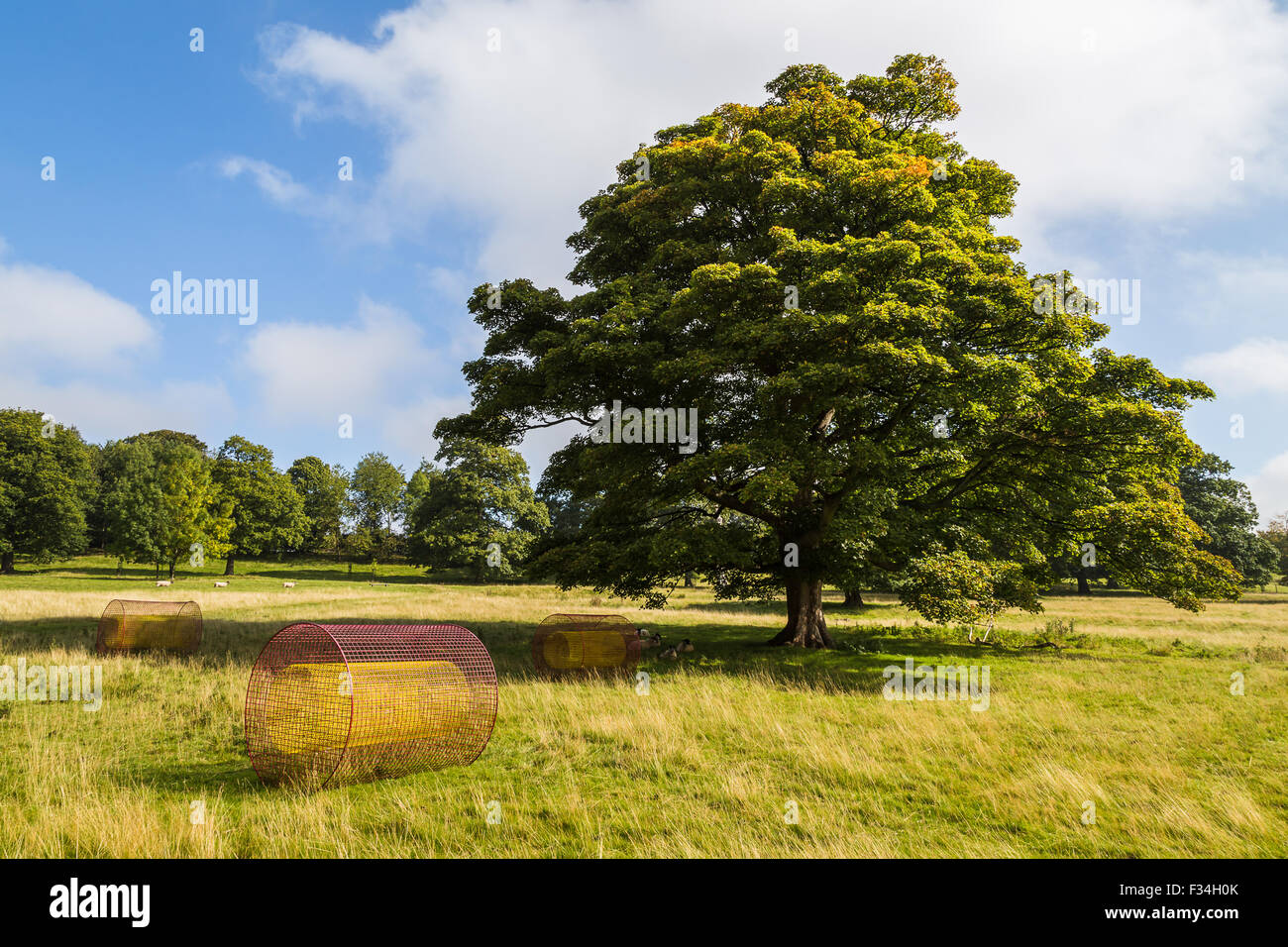Floating hay bales known as 'Summer Fields' sculptures seen at Yorkshire Sculpture Park. Stock Photo