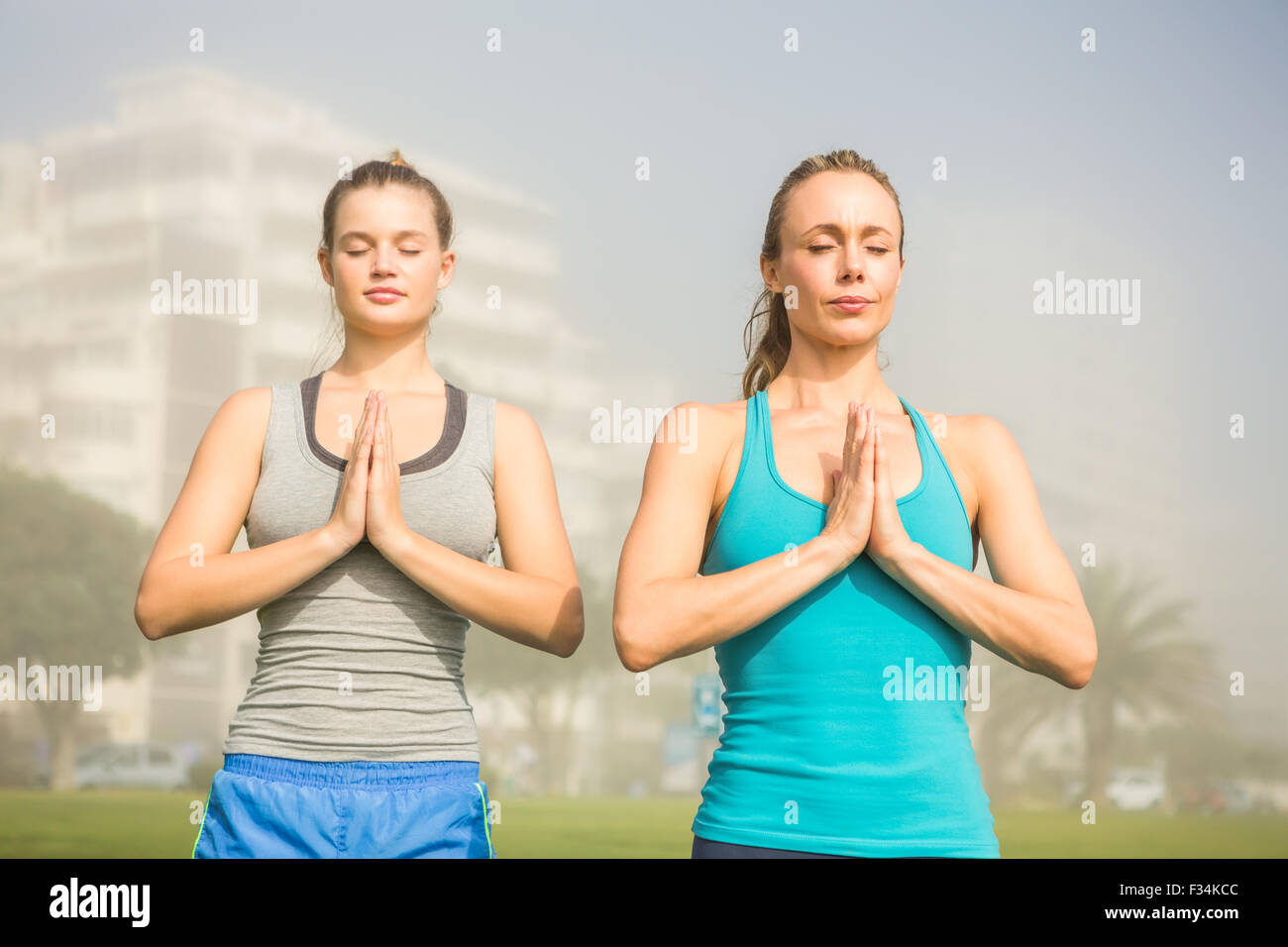 Peaceful sporty blondes doing yoga together Stock Photo