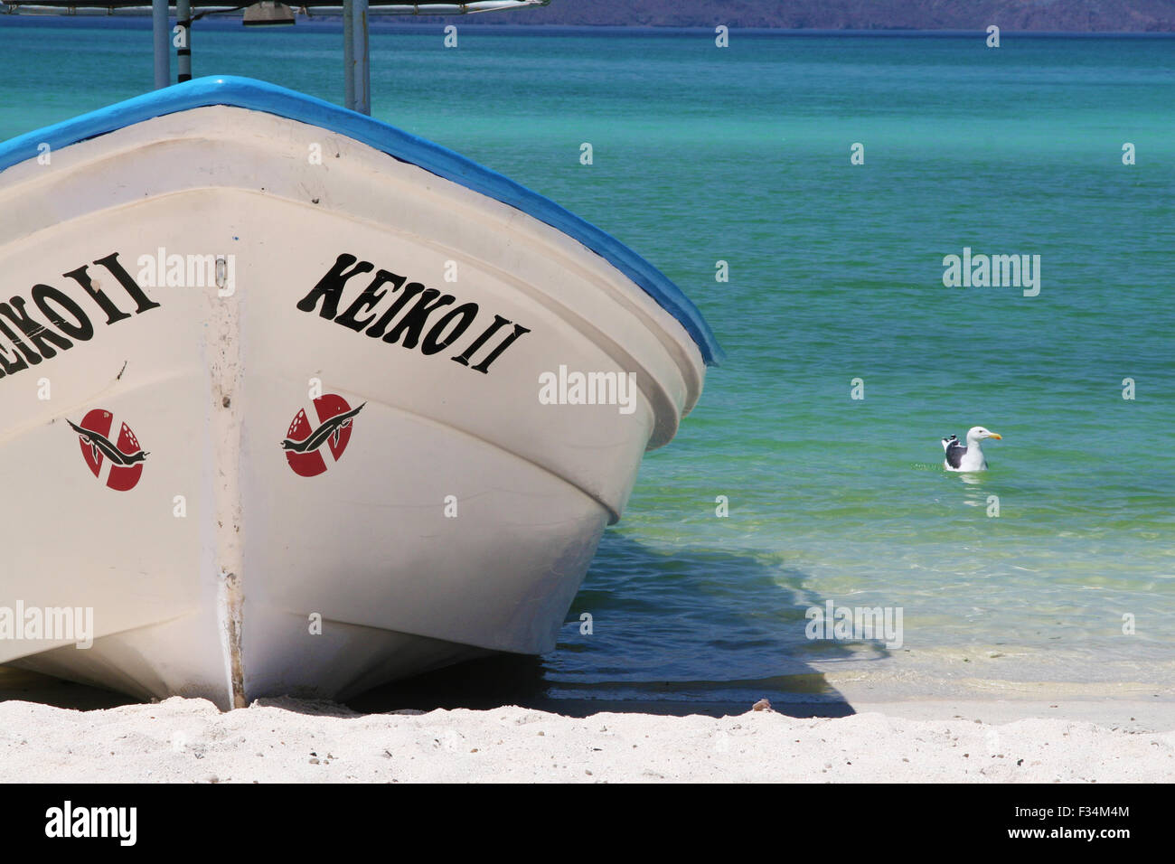 A beached boat in front of a wonderful blue sea with a seagull floating Stock Photo