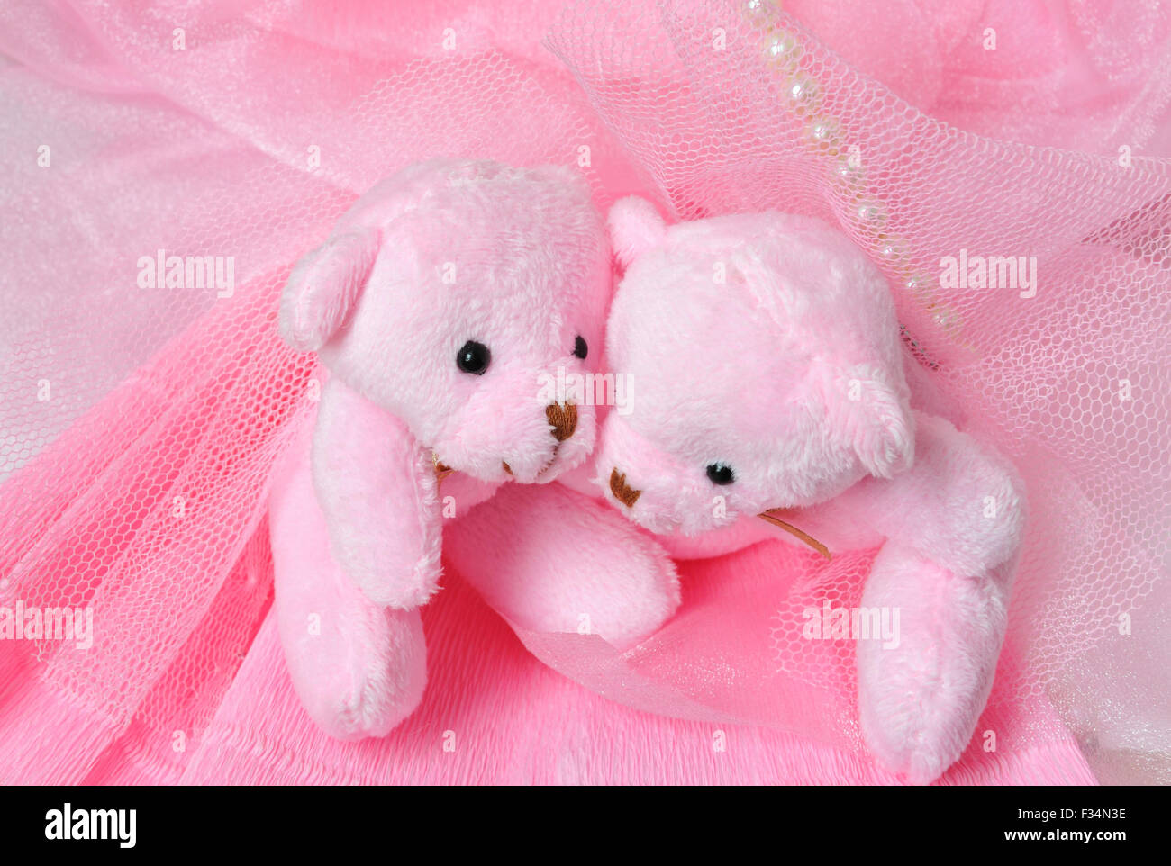 beautiful pink teddy bear