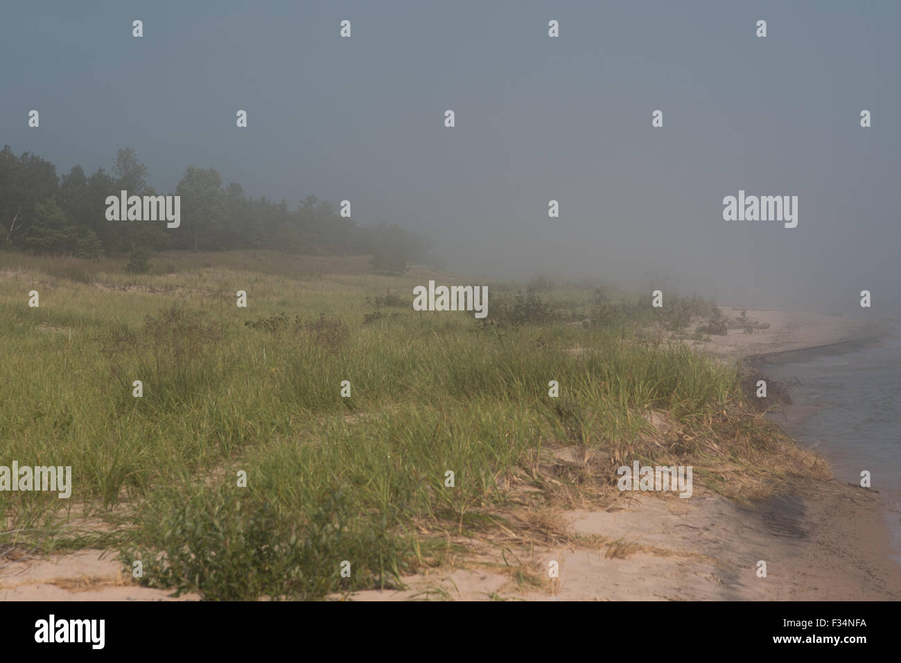 A thick fog on the shore of Lake Michigan makes for a soft scene of the sandy beach and dune