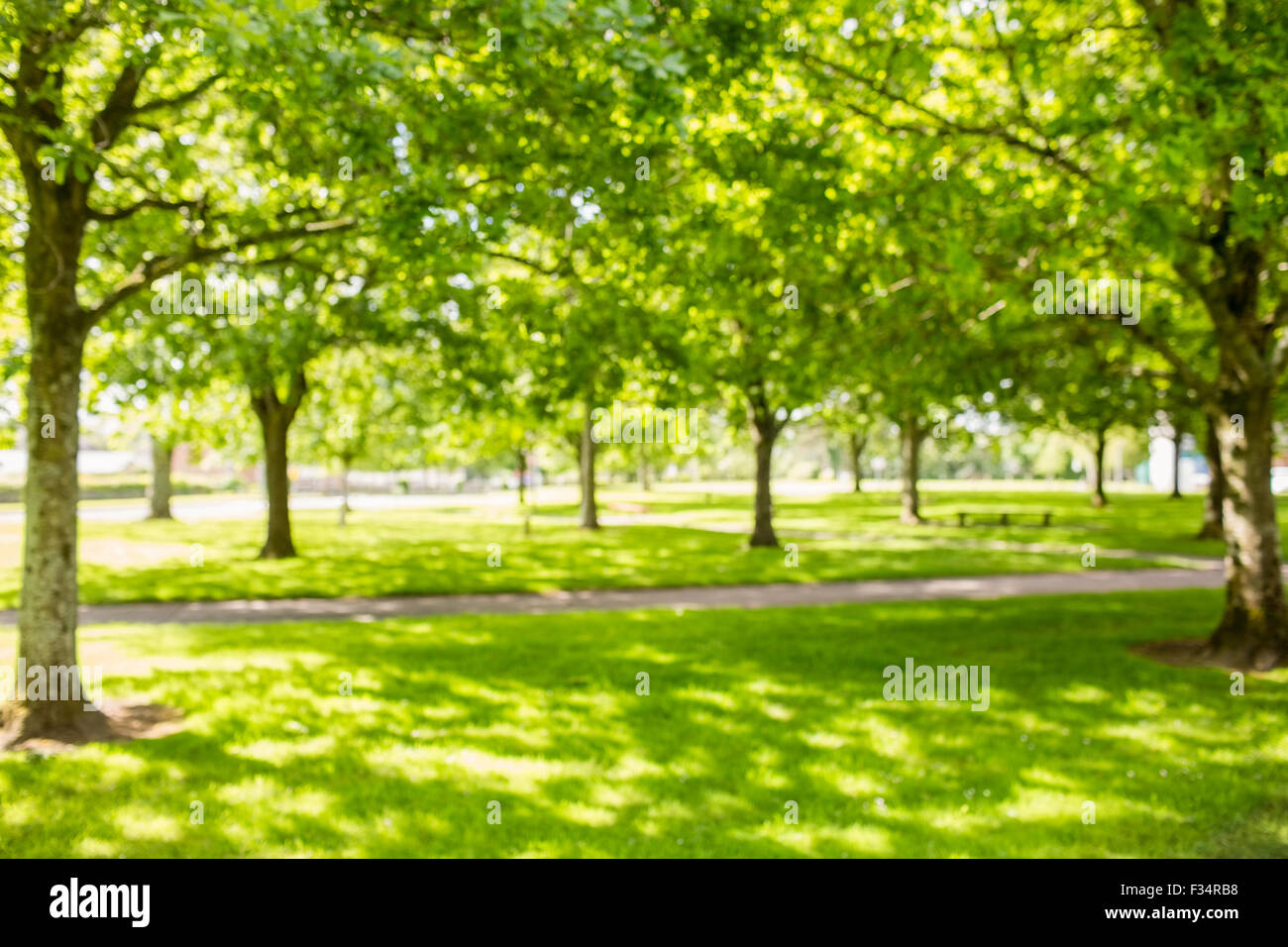 Park sun hi-res stock photography and images - Alamy