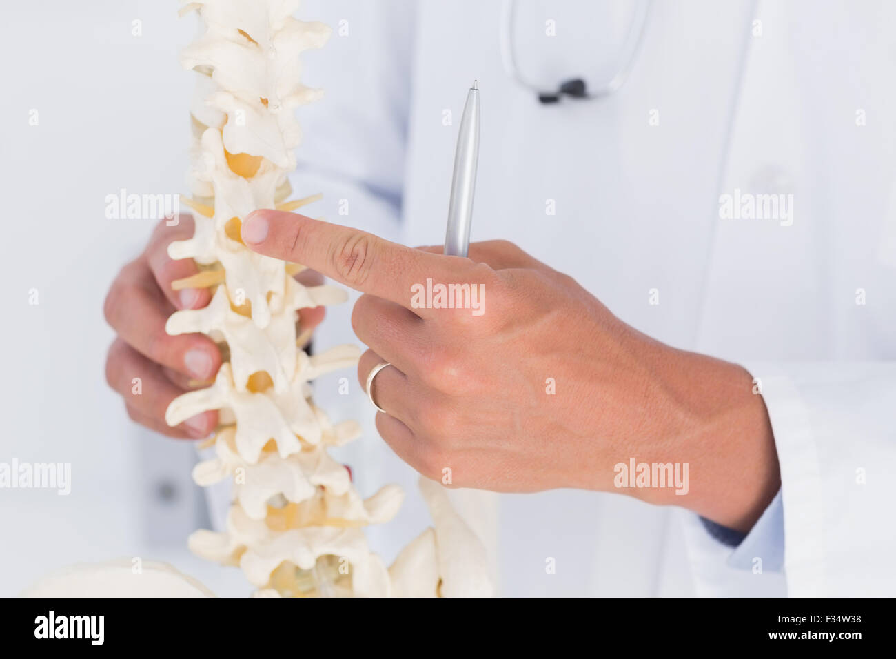 Doctor showing anatomical spine Stock Photo