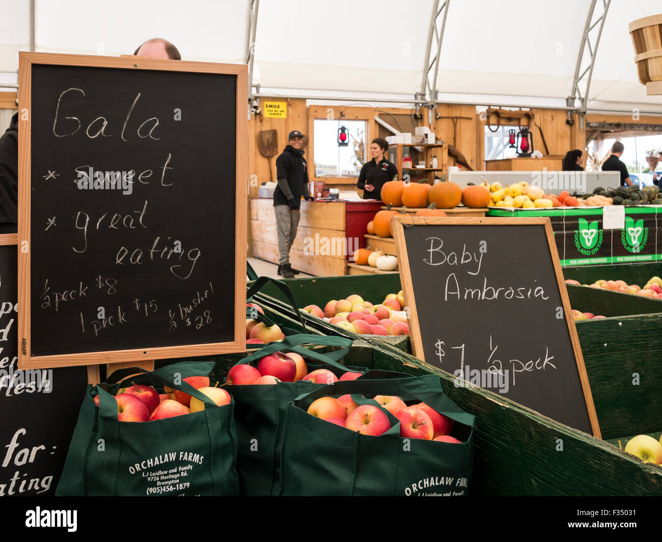 Gala, Baby Ambrosia, Spartan, Honey Crisp apple varieties on display in
