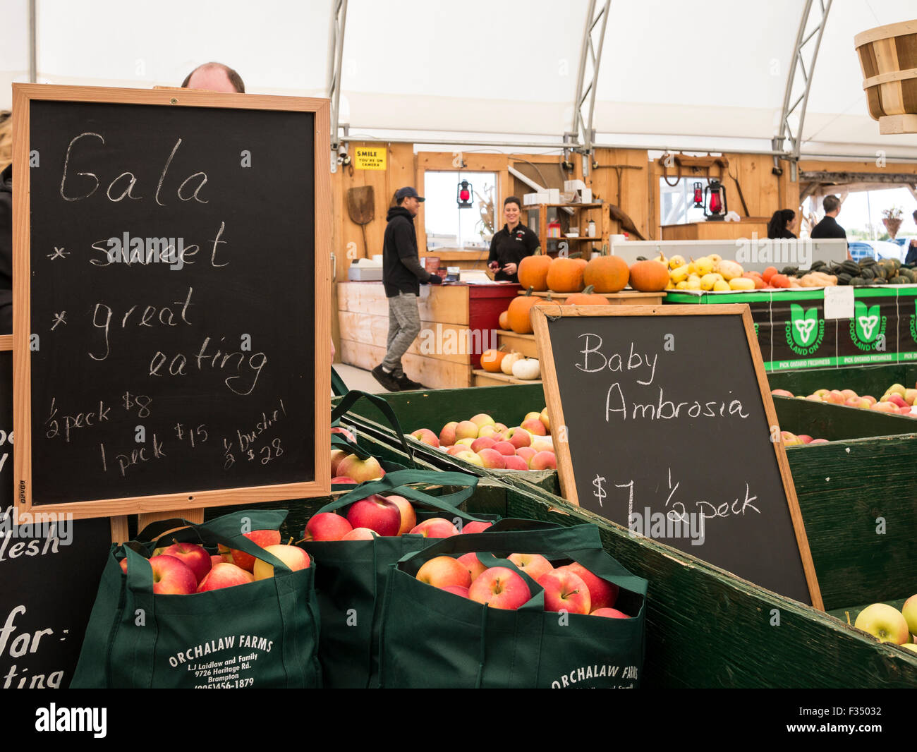 Gala, Baby Ambrosia, Spartan, Honey Crisp apple varieties on display in