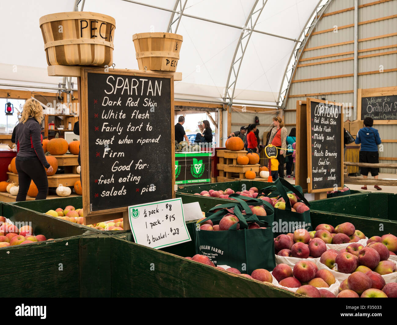Gala, Baby Ambrosia, Spartan, Honey Crisp apple varieties on display in