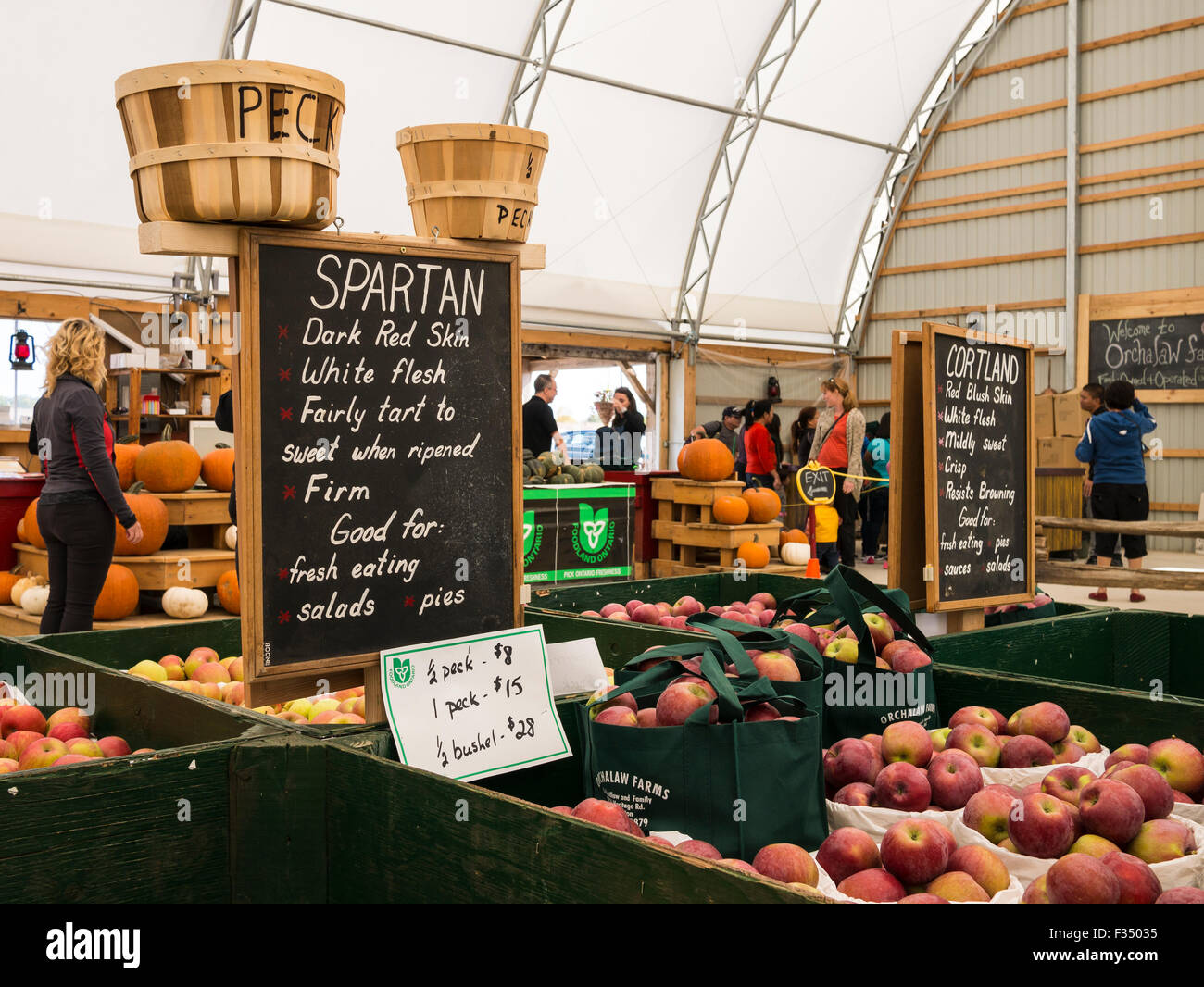 Gala, Baby Ambrosia, Spartan, Honey Crisp apple varieties on display in