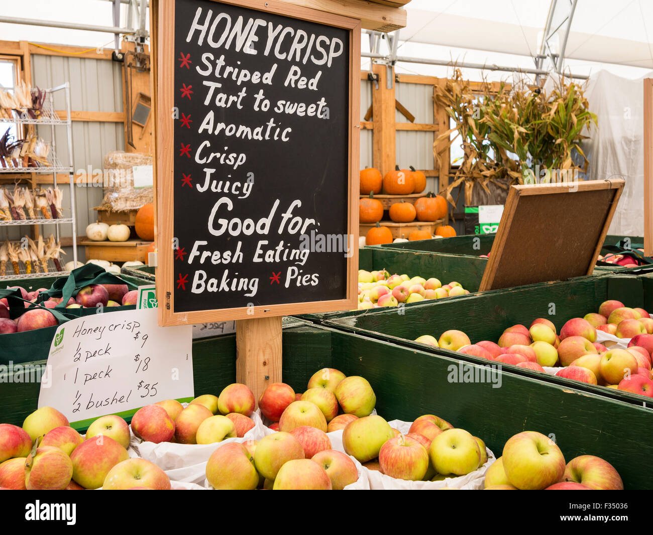 Gala, Baby Ambrosia, Spartan, Honey Crisp apple varieties on display in