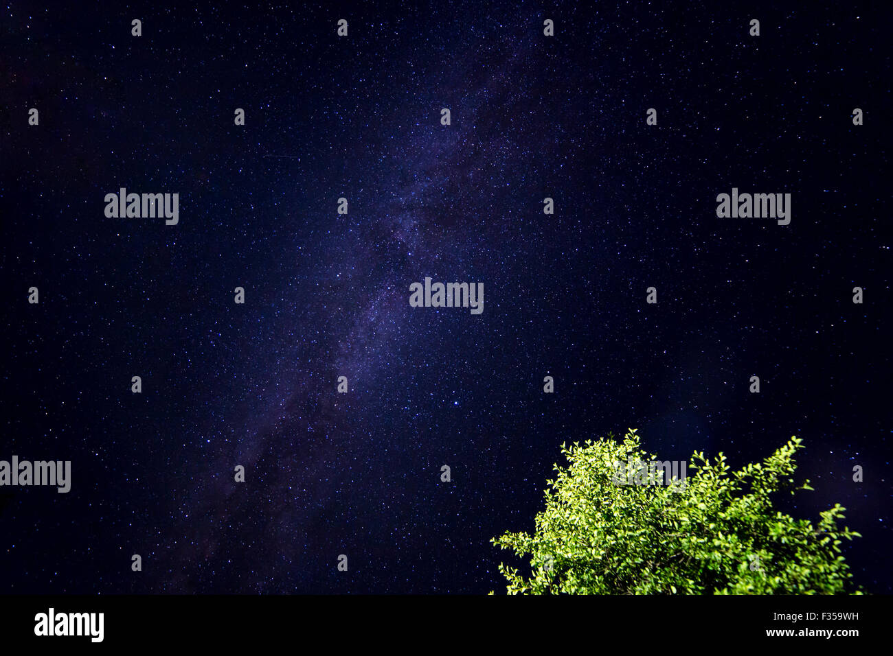Night starry sky scene with milky way Stock Photo - Alamy