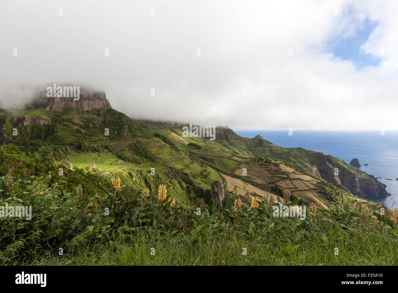 Misty Rocha dos Bordões, is a geological formation characterized by huge columns of basalt, Las Flores Island Azores Stock Photo