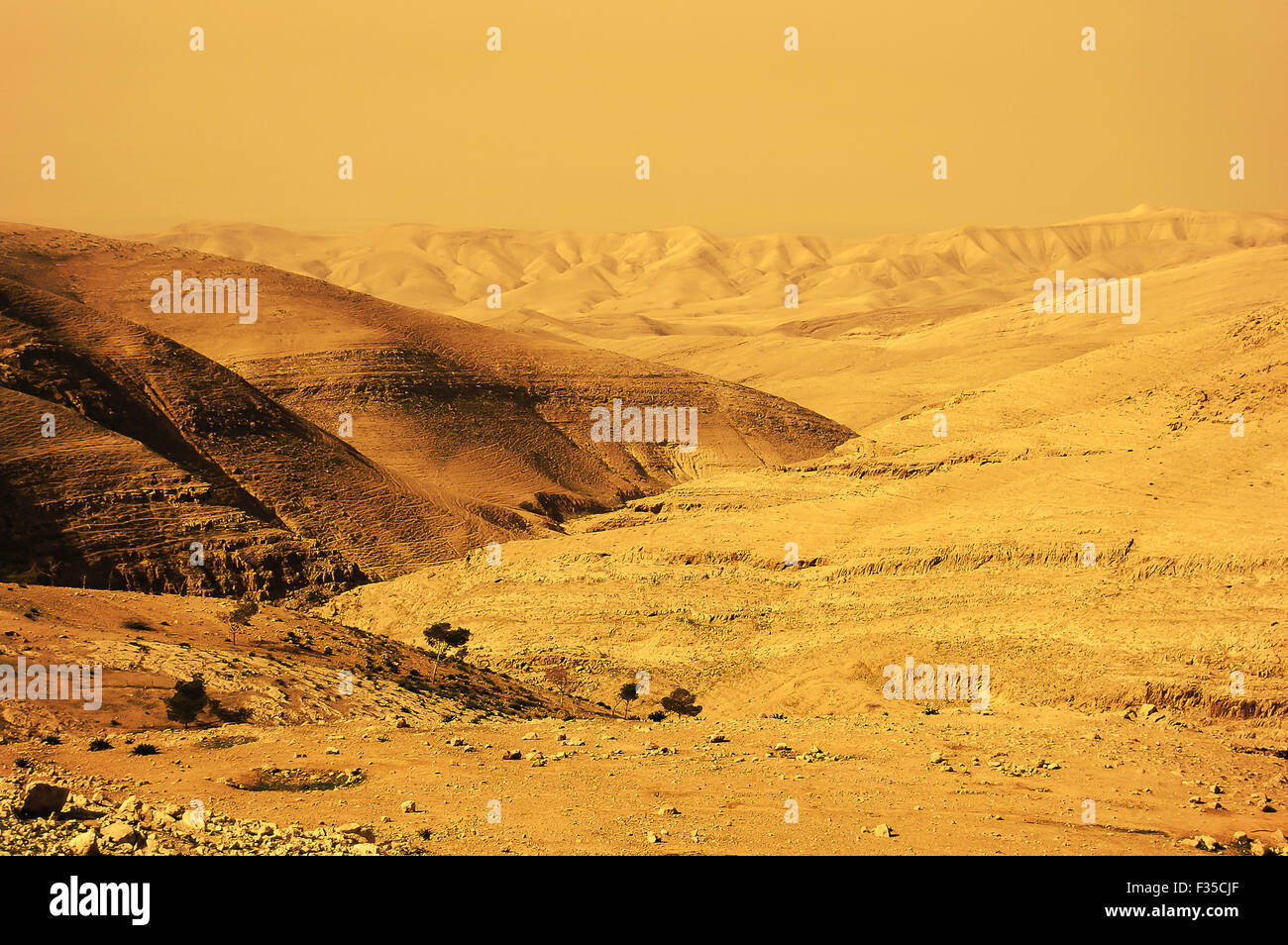 Sepia Landscape - Jordan Stock Photo