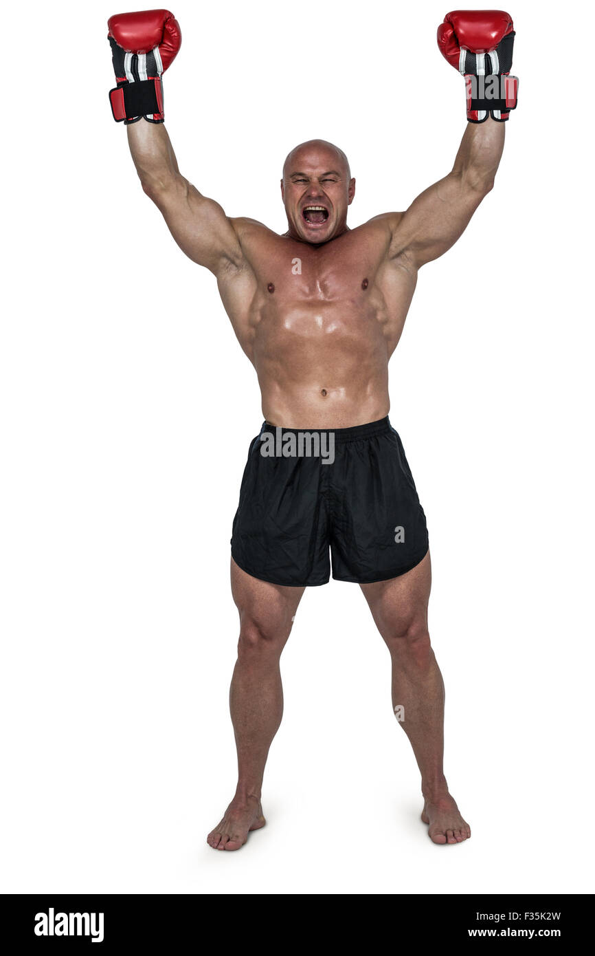 Portrait of winning boxer with arms raised Stock Photo Alamy