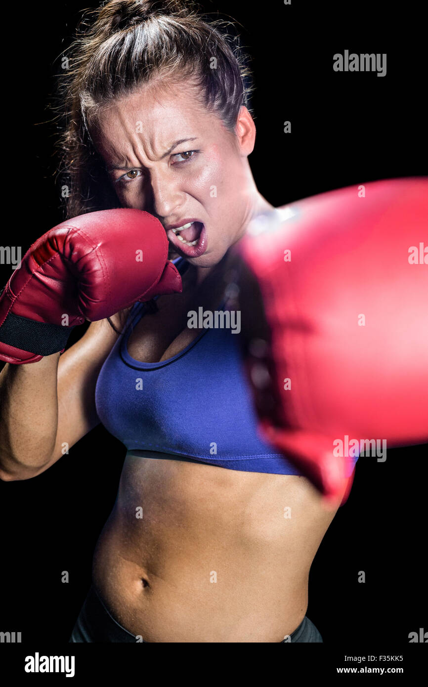 Are Female Boxers Aggressive