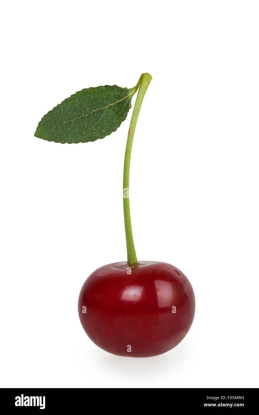 Single ripe cherry isolated on white background Stock Photo - Alamy