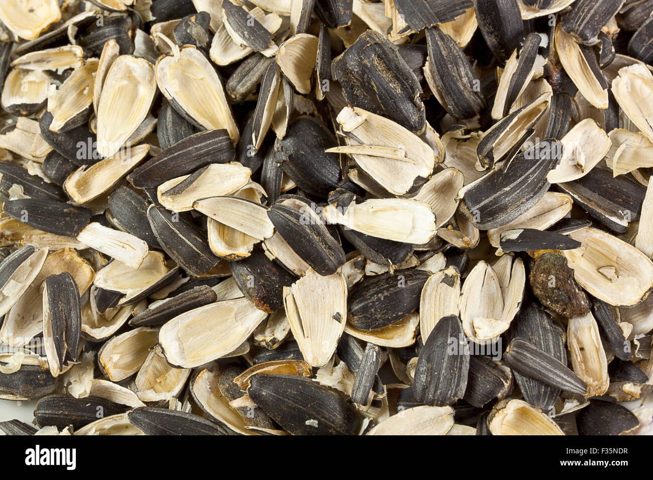 empty shells of sunflower seeds can be used as background Stock Photo Alamy