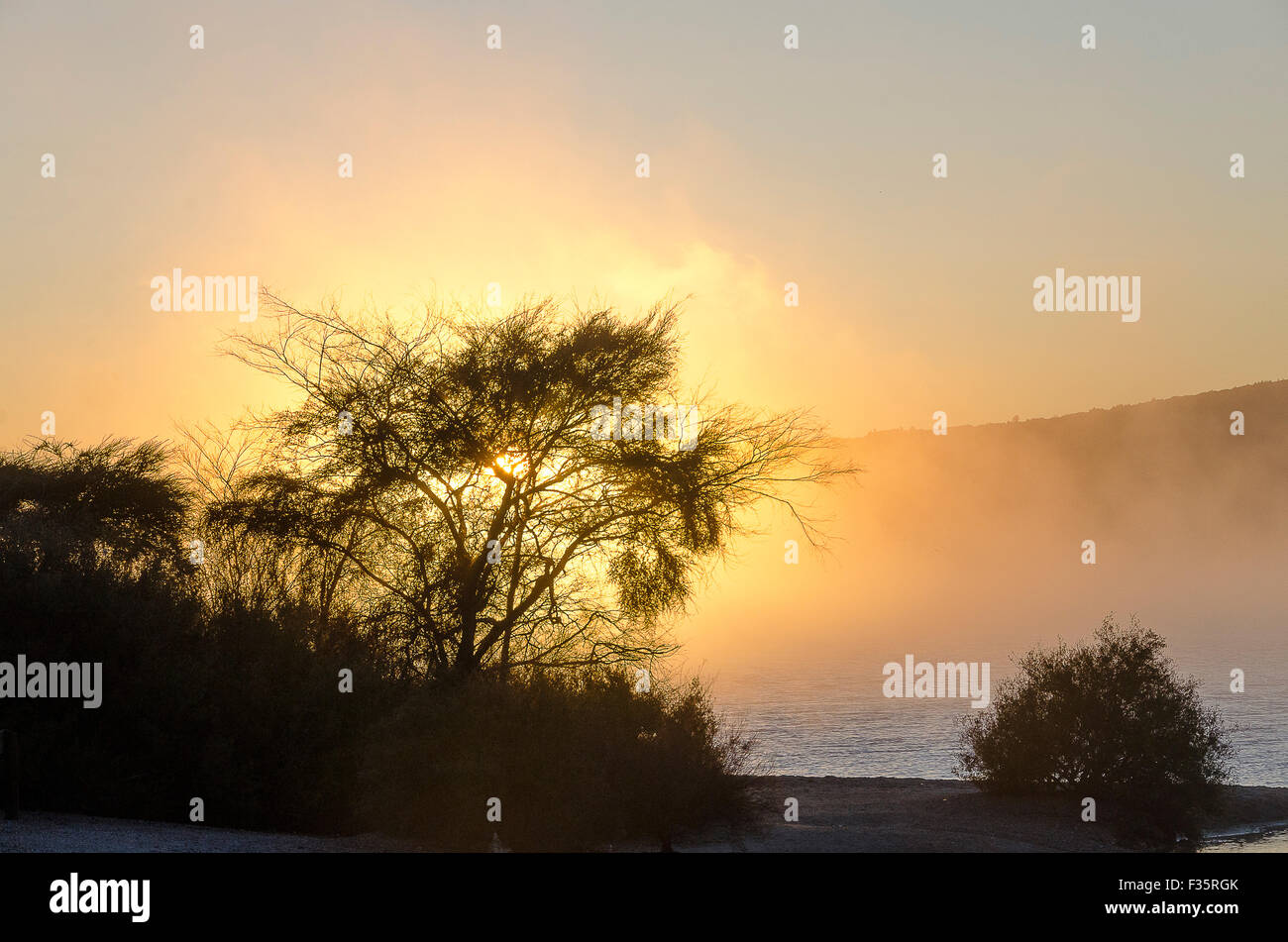 Bush sunrise with silhouette hi-res stock photography and images - Alamy