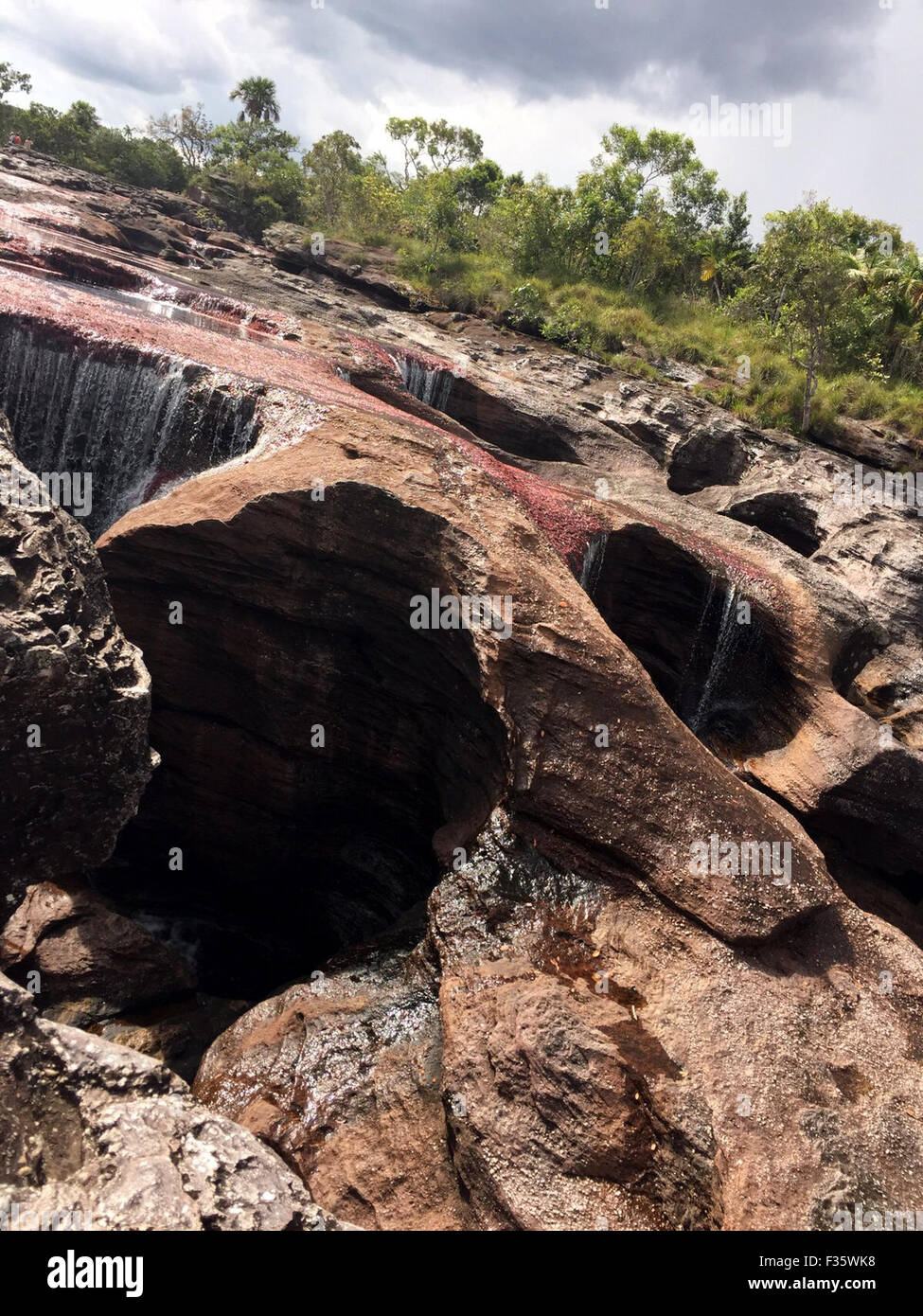 Meta. 29th Sep, 2015. Photo taken on Sept. 29, 2015 shows the Cano Cristales river in La Macarena, Meta, Colombia. According to local press, the access to Cano Cristales will be prohibited from next Oct. 1 because the flow is at the minimum of 30 percent due to 'El nino' phenomenon. Credit:  COLPRENSA/Xinhua/Alamy Live News Stock Photo