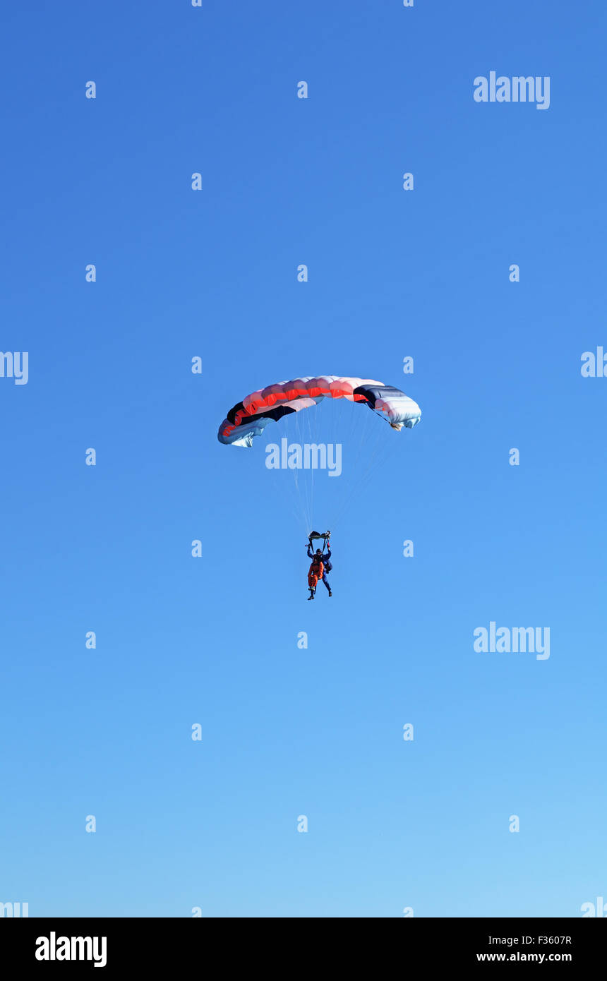 Parachutists 2014. Tandem parachute landing Stock Photo Alamy