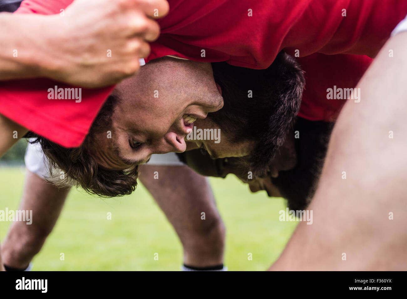 Rugby players doing a scrum Stock Photo Alamy