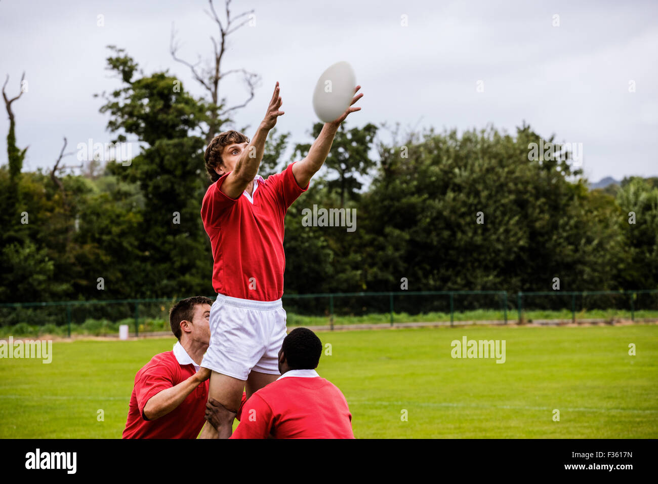 Rugby players jumping for line out Stock Photo Alamy