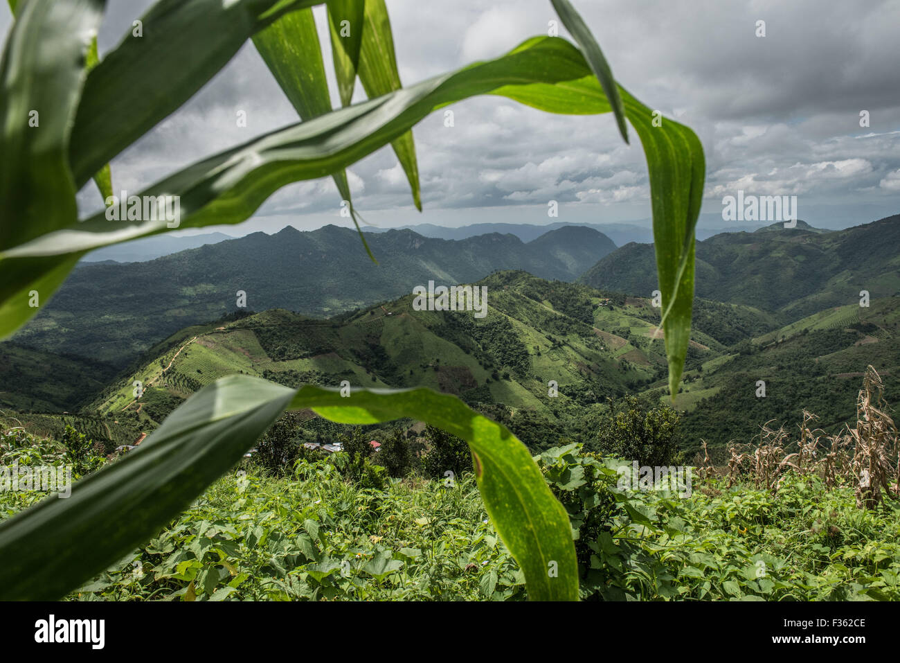 Mountain scenery outside Kalaw, in Shan State, Myanmar Stock Photo