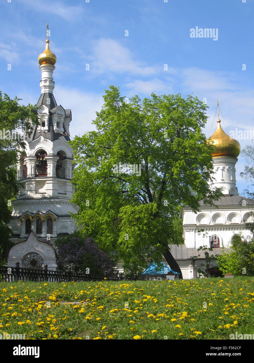 Moscow, church of St. Ilya in Cherkizovo (17 century). Date of recording 11.05.2008. Stock Photo