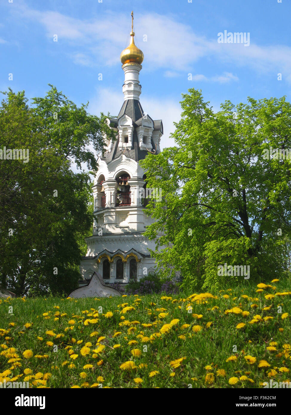 Bell tower of church of St. Illya in Moscow in spring, dandelions around. Stock Photo