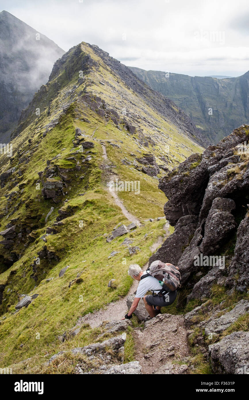 Hiker on Beenkeragh or Binn Chaorach ridge to Carrauntoohil in MacGillycuddy Reeks, County Kerry, Eire, Southern Ireland Stock Photo