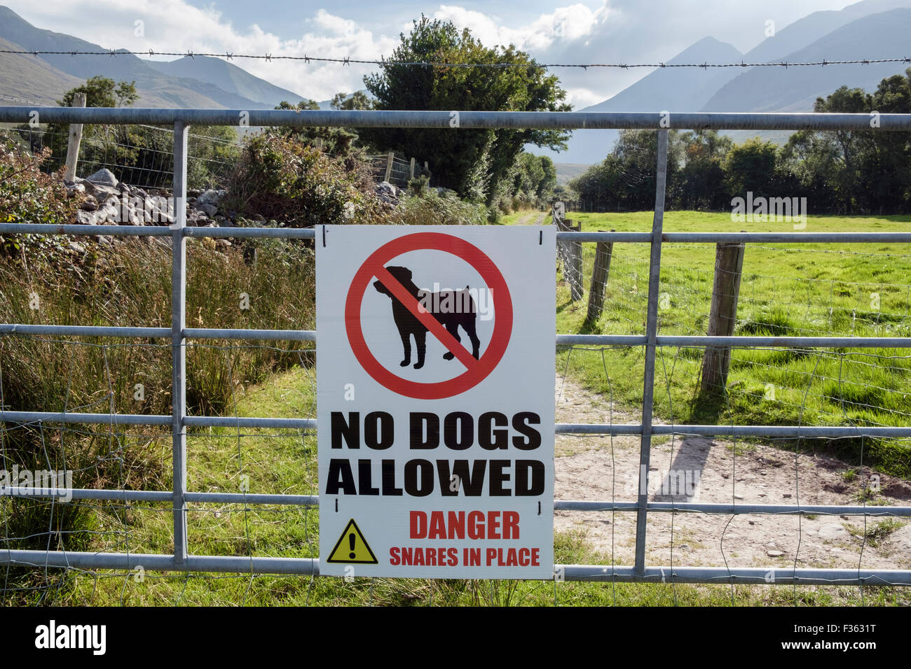 No dogs allowed sign ireland hires stock photography and images Alamy