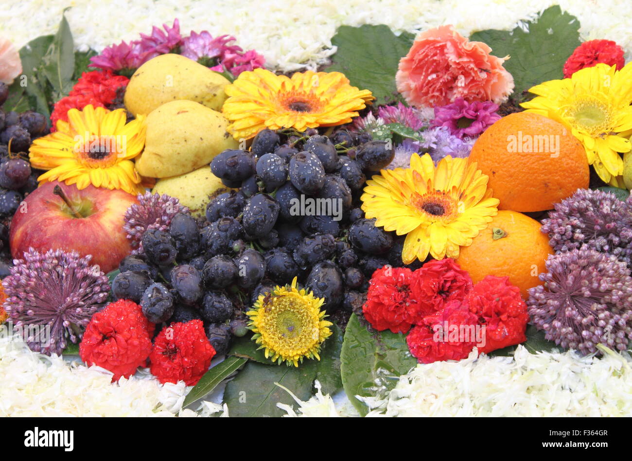 Art composition with fresh fruits and flowers Stock Photo