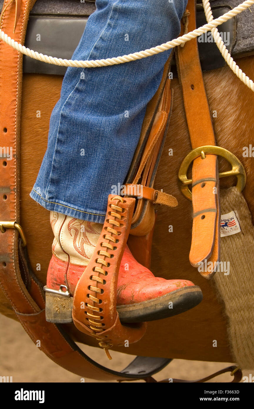 Western horse riding hires stock photography and images Alamy