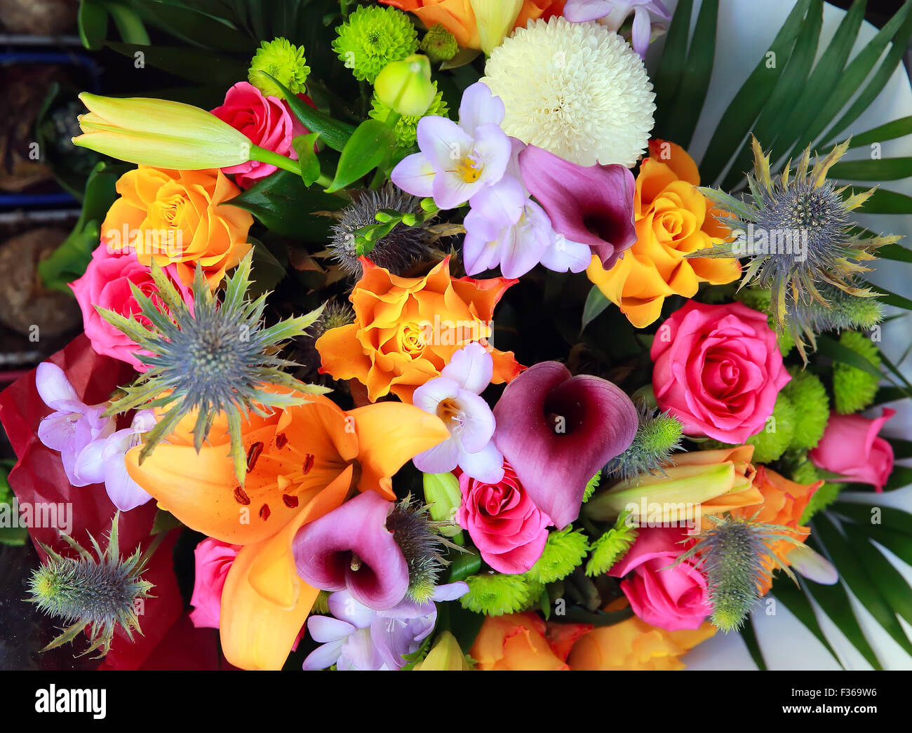 Lily roses and many flowers hi-res stock photography and images - Alamy