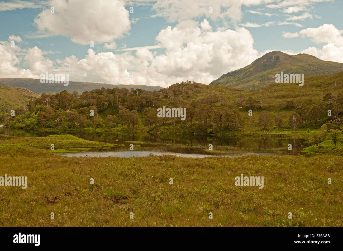 Loch Clair in Torridon Stock Photo