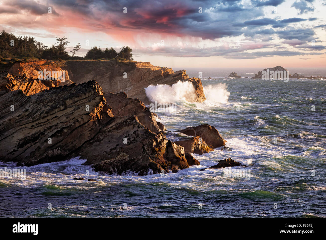 Last light as incoming waves crash against the sandstone cliffs of Oregon's Shore Acres State Park. Stock Photo