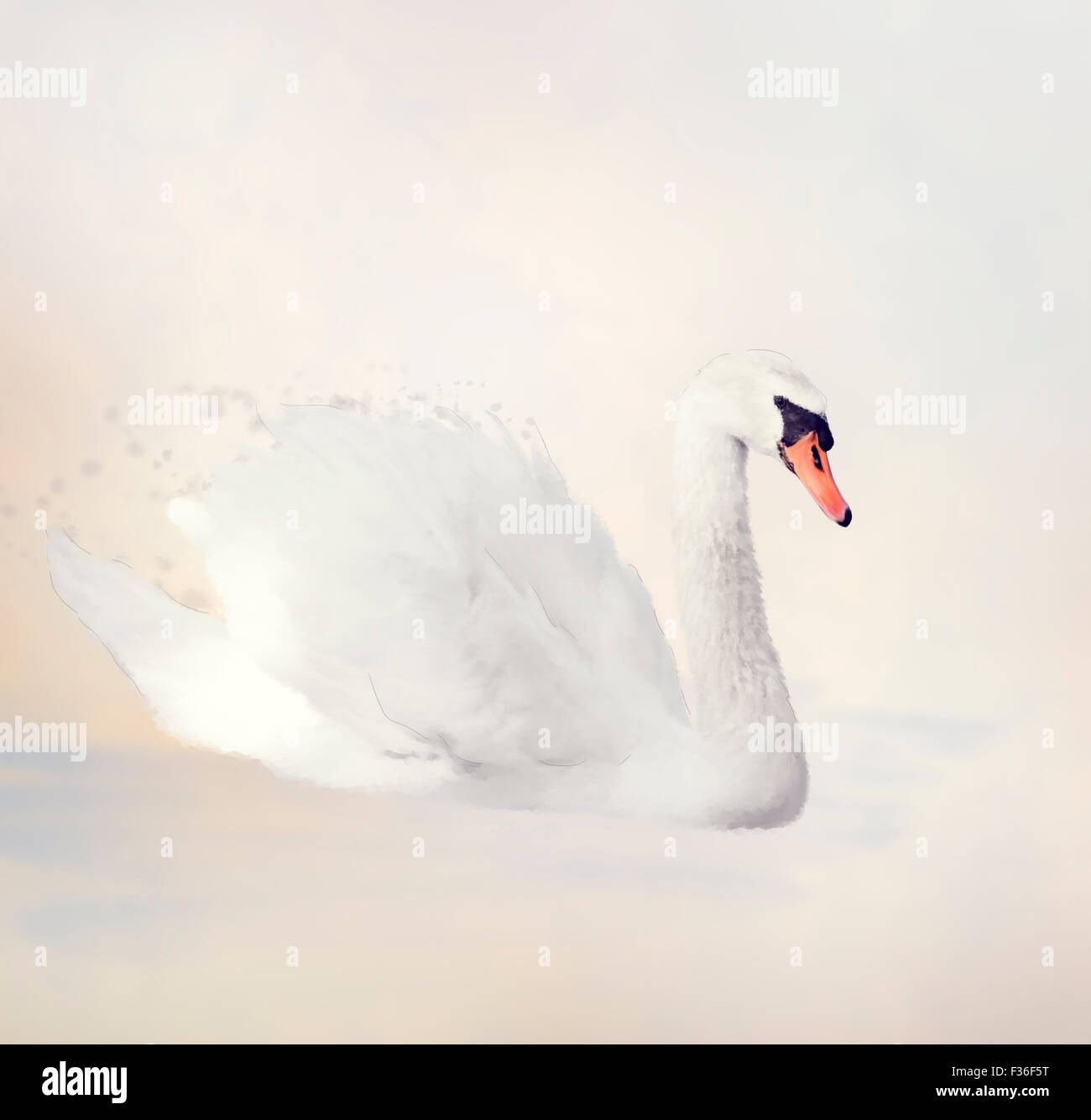 Digital Painting of White Swan Stock Photo