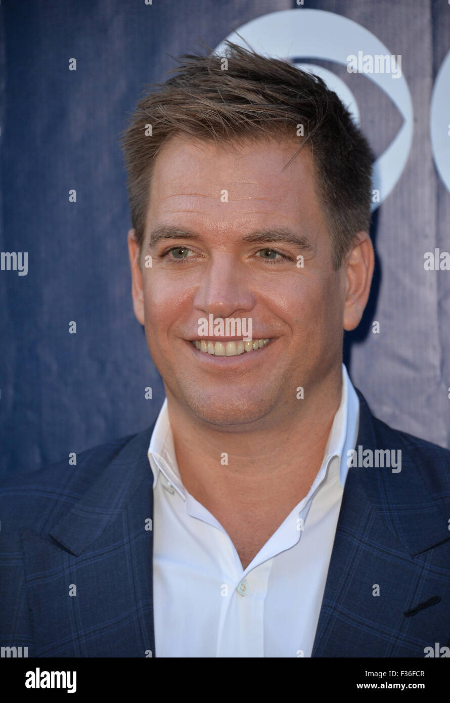 Michael weatherly hi-res stock photography and images - Alamy