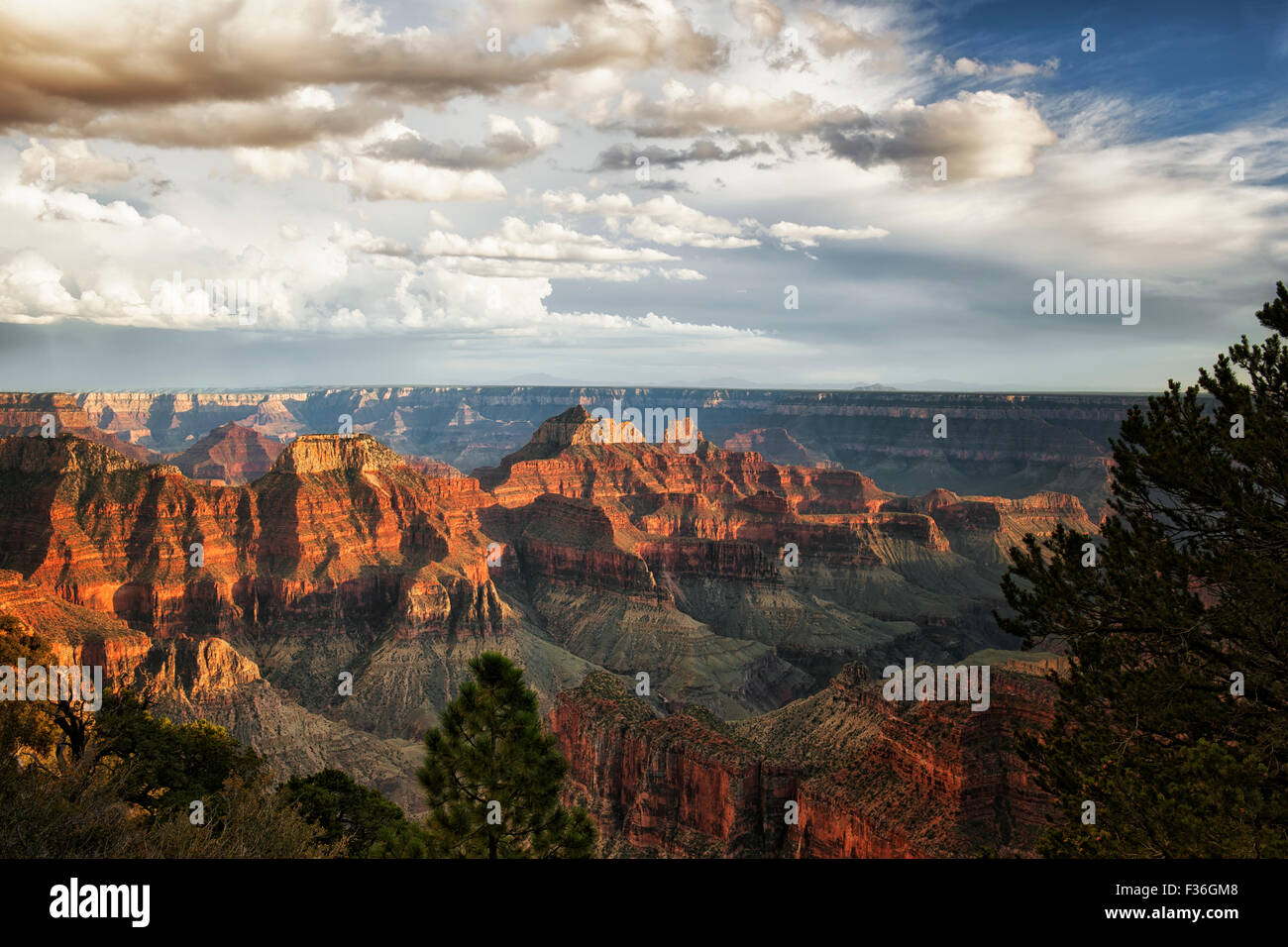 Summer evening storm clouds gather over the Three Temples and the North Rim of Arizona's Grand Canyon National Park. Stock Photo