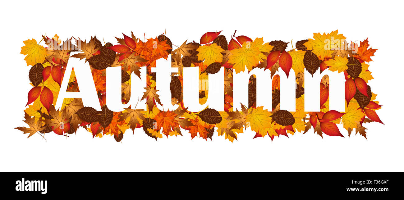 Autumn word covered in autumn leaves vector Stock Photo